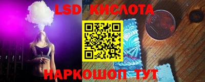сатива Краснодар