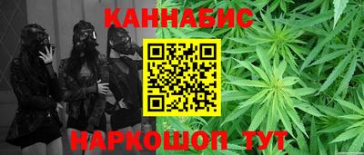 сатива Краснодар