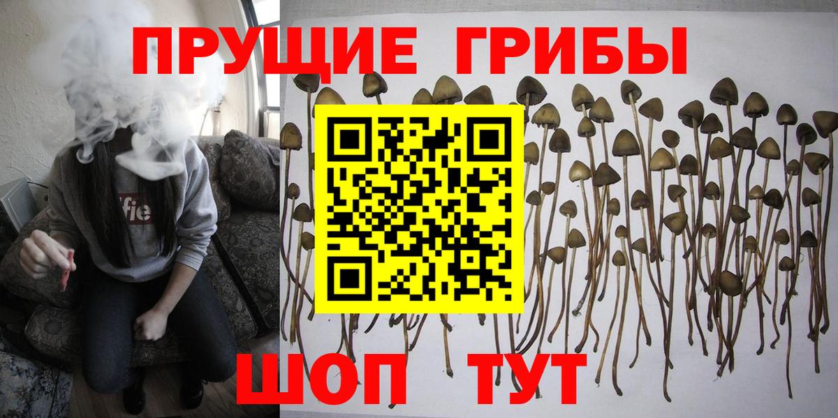Галлюциногенные грибы ЛСД  Вход с VPN  Киров 