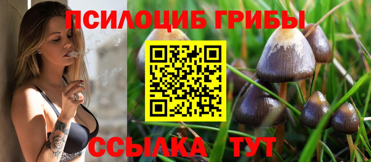 Галлюциногенные грибы мухоморы Киров